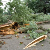 Storm Damage Cleanup 1